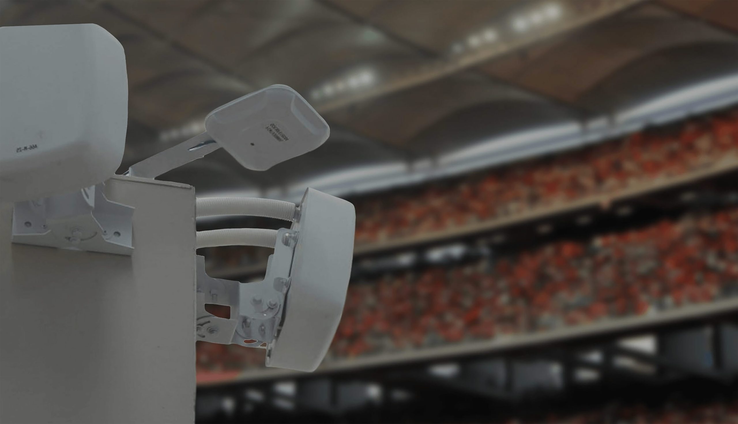 Distributed antenna systems at a stadium